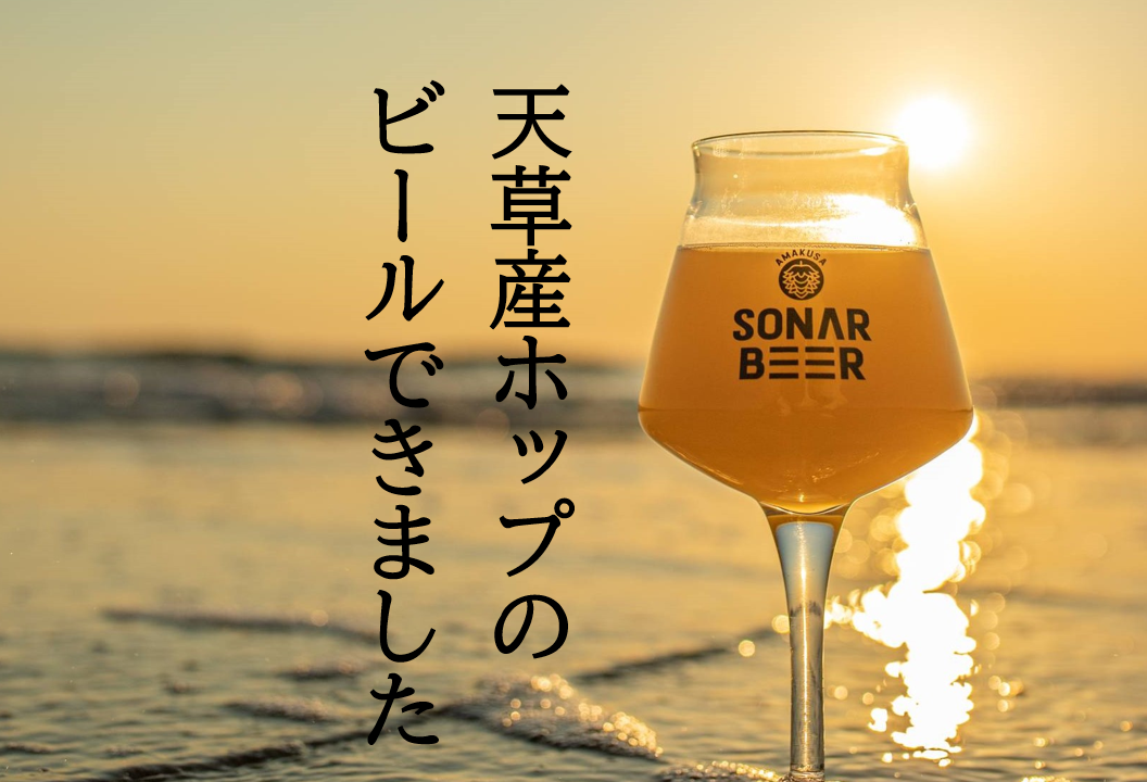 天草産ホップ100 のビールが完成 今年もホップからビールを造ります Amakusa Sonar Beer フレッシュホップフェスト