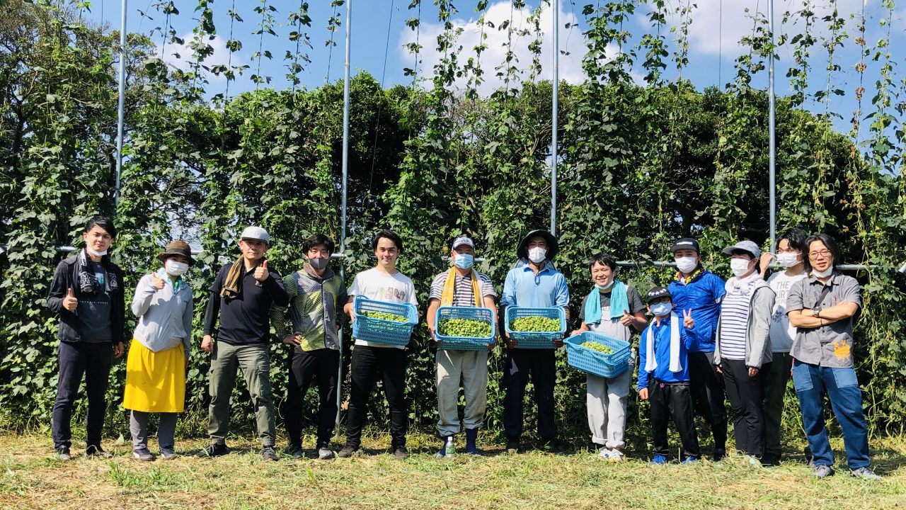 クラフトビールで横浜を盛り上げたい 進化を続ける古川原農園と芹田果樹園のホップ栽培 フレッシュホップフェスト